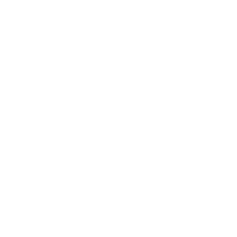 Permissioned Network